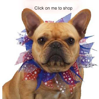 pet fashion